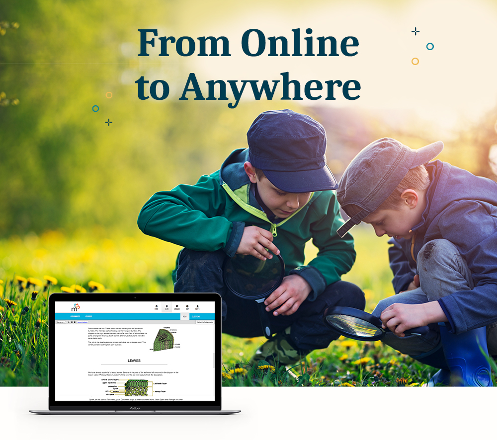 From Online to Anywhere