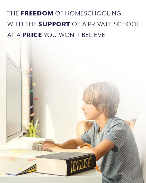 The Freedom of Homeschooling with the Support of a Private School at a Price You Won't Believe
